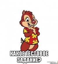  какое тестовое задание?