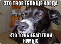 это твоё еблище когда кто то выебал твой кумыс