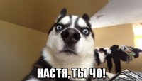  настя, ты чо!