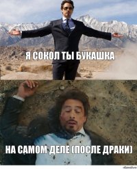 Я СОКОЛ ТЫ БУКАШКА НА САМОМ ДЕЛЕ (ПОСЛЕ ДРАКИ)