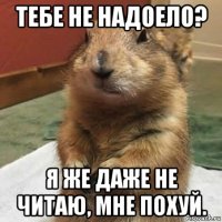 тебе не надоело? я же даже не читаю, мне похуй.