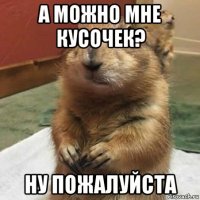 а можно мне кусочек? ну пожалуйста