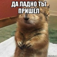 да ладно ты пришел 