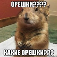 орешки???? какие орешки???