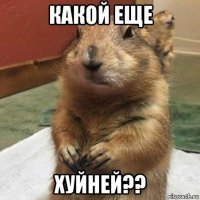 какой еще хуйней??