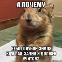 а почему небо голубое, земля круглая, зачем я должен учится?