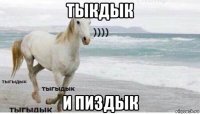 тыкдык и пиздык