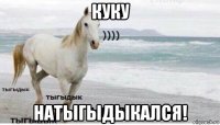 куку натыгыдыкался!