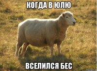 когда в юлю вселился бес