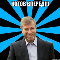 котов вперёд!!! 