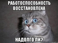 работоспособность восстановлена надолго ли?