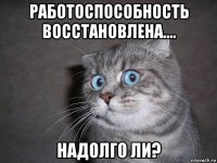 работоспособность восстановлена.... надолго ли?