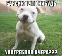 барсик я что нибудь употреблял вчера???