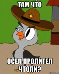 там что осел пролител чтоли?