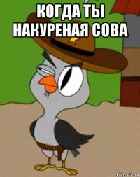 когда ты накуреная сова 