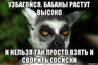 узбагойся. бабаны растут высоко и нельзя так просто взять и сворить сосиски