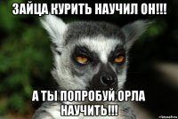 зайца курить научил он!!! а ты попробуй орла научить!!!