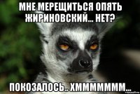 мне мерещиться опять жириновский... нет? покозалось.. хммммммм...