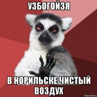 узбогойзя в норильске чистый воздух