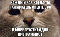 каждый раз когда ты нажимаешь create bug в мире грустит один программист