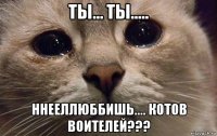 ты... ты..... ннееллюббишь.... котов воителей???