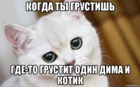 когда ты грустишь где-то грустит один дима и котик