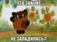 что значит не заладилась?