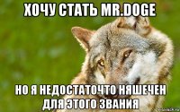 хочу стать mr.doge но я недостаточто няшечен для этого звания