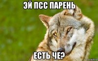 эй псс парень есть че?