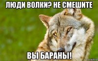 люди волки? не смешите вы бараны!