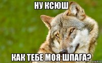 ну ксюш как тебе моя шпага?