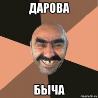 дарова быча