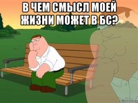 в чем смысл моей жизни может в бс? 