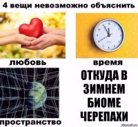 Откуда в зимнем биоме черепахи