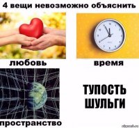 Тупость Шульги