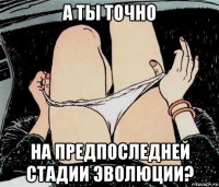 а ты точно на предпоследней стадии эволюции?