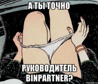 а ты точно руководитель binpartner?