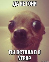 да не гони ты встала в 8 утра?