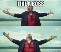 like a boss 