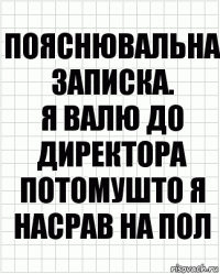 Пояснювальна записка.
Я валю до директора потомушто я насрав на пол