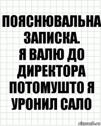 Пояснювальна записка.
Я валю до директора потомушто я уронил сало