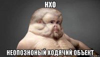 нхо неопозноный ходячий объект