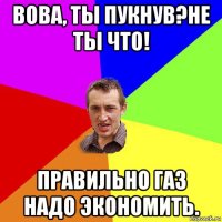 вова, ты пукнув?не ты что! правильно газ надо экономить.