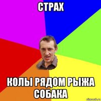 страх колы рядом рыжа собака