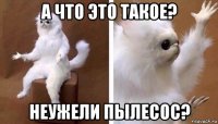 а что это такое? неужели пылесос?