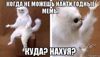 когда не можешь найти годные мемы куда? нахуя?