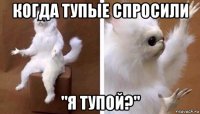 когда тупые спросили "я тупой?"