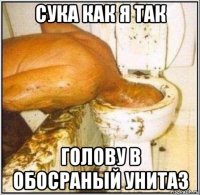 сука как я так голову в обосраный унитаз