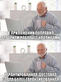 в приложении поправил алгоритм работы с кроликами гарантированная доставка стала более гарантированная