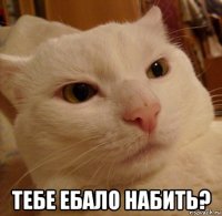  тебе ебало набить?